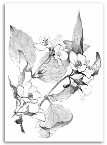 Obraz na plátně Květiny Černá Bílá Příroda - 60x90 cm