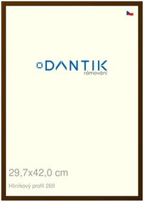 DANTIK rám na obraz 29,7x42 | ALU Hnědá umbra broušená (Plexi Čiré)