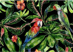 Plátno maľba Tropical Birds