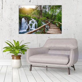 Obraz - Plitvické jazerá (90x60 cm)