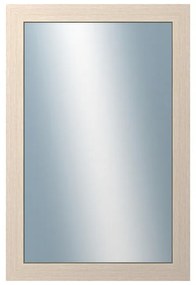 DANTIK - Zrkadlo v rámu, rozmer s rámom 40x60 cm z lišty 4020 biela prederaná (2766)