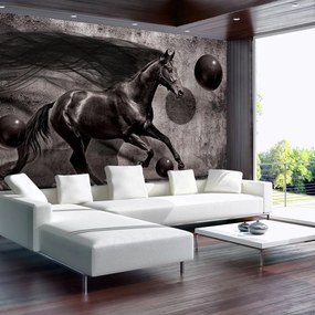 Fototapeta - Čierny kôň (254x184 cm)