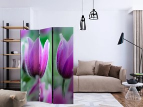 Artgeist Paraván - Purple spring tulips [Room Dividers]