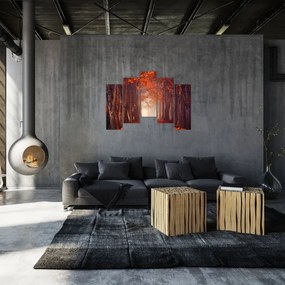 Jesenné les - obraz