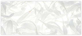 Obraz - Okvetné lístky (120x50 cm)