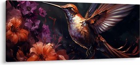 Obraz - Kolibrík (120x50 cm)