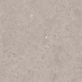 Dlažba Pastorelli Biophilic grey 80x80 cm mat P009419