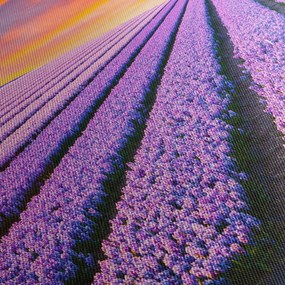 Obraz - kvetinová farma (70x50 cm)