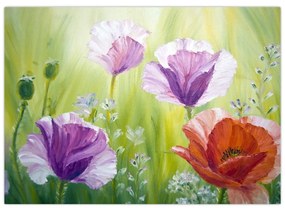 Sklenený obraz - Vlčie maky (70x50 cm)