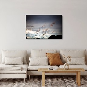 Obraz - Lúčne kvety pri jazere (90x60 cm)