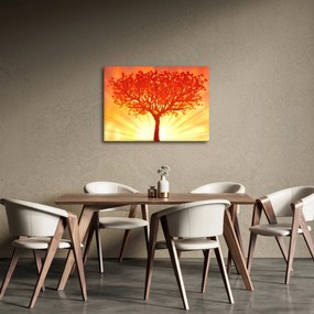 Obraz - Strom v žiari slnka (70x50 cm)