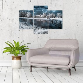 Obraz - Zamrznutá krajina (90x60 cm)