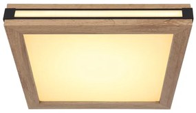 Globo 41589D1 - LED Stropné svietidlo CARLA LED/12W/230V 30x30 cm