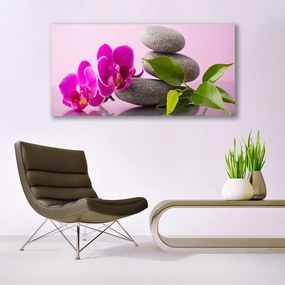 Obraz plexi Kvet kamene zen rastlina 120x60 cm