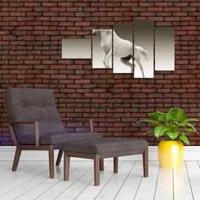 Obrazy bieleho koňa