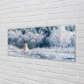 Obraz na akrylátovom skle Zime salašnícky pes 120x60 cm