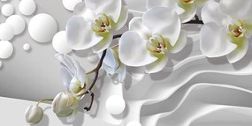 Obraz orchidea na abstraktnom pozadí Varianta: 120x80