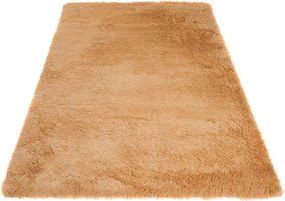 TA Koberec BEIGE BEIGE SILK Béžový Obdĺžnikový Rozmer: 120x170 cm