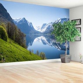 Fototapeta Vliesová Fjord v nórsku 104x70 cm