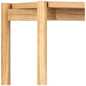 Dubová knižnica Actona Braidwood