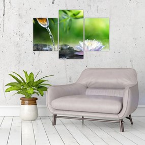Obraz - Lotus (90x60 cm)