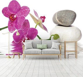 Fototapeta - Orchidey (152,5x104 cm)