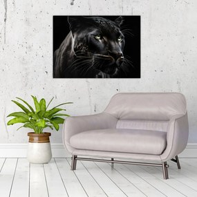 Sklenený obraz - Čierny panter (70x50 cm)