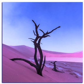 Obraz na plátne - Mŕtvy strom v dunach - štvorec 3130FA (80x80 cm)