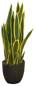 Artificial plant Sansewieria Laurentii 65cm