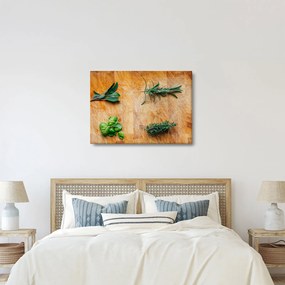 Obraz - Bylinky (70x50 cm)