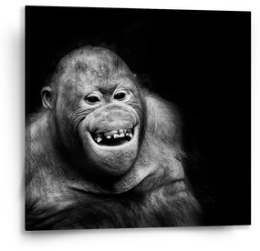 Sablio Obraz Orangután - 50x50 cm