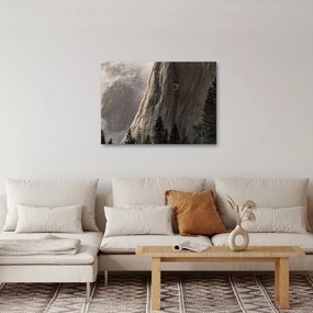 Obraz z údolia Yosemite národnej parku, USA (70x50 cm)