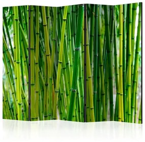 Paraván - Bamboo Forest II [Room Dividers] Veľkosť: 225x172, Verzia: Obojstranný