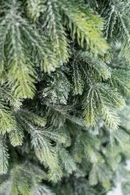 Limpol Kanadská zasnežená  borovica 2,10 m