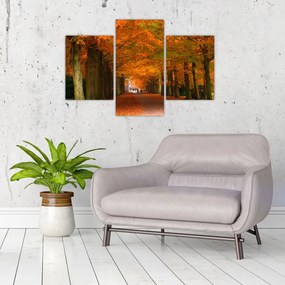 Obraz - Jeseň Alej stromov (90x60 cm)