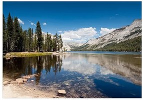 Fototapeta - Tenaya Lake Veľkosť: 441x315, Verzia: Samolepiaca