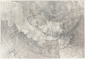 TA Koberec 1103 1 244 LYDIA Rozmer: 60x100 cm