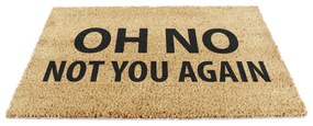 Rohožka z kokosového vlákna 40x60 cm Not You Again – Artsy Doormats