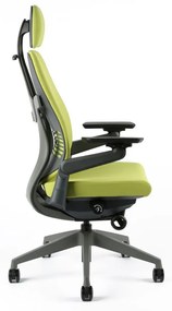 Kancelárska ergonomická stolička Office Pro KARME — viac farieb, s podhlavníkom a podrúčkami Čierna F06