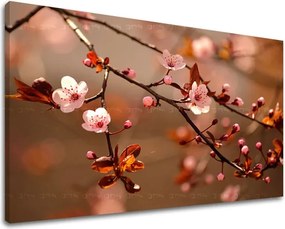 Obraz na stenu KVETY KV029E11 - 40x60 cm