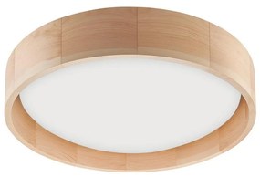 Brilagi Brilagi - LED Stropné svietidlo MANAROLA LED/15W/230V BG0129