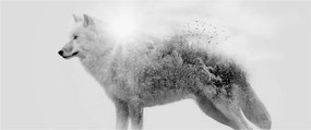 Obraz - Arktický vlk zrkadliaci divokú krajinu, čiernobiely (120x50 cm)