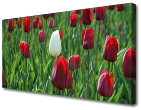 Obraz Canvas Tulipány kvety príroda 125x50 cm