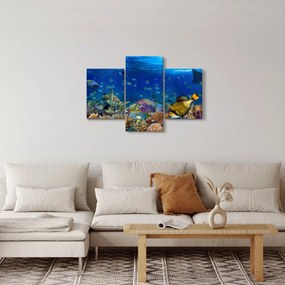 Obraz - Oceán (90x60 cm)