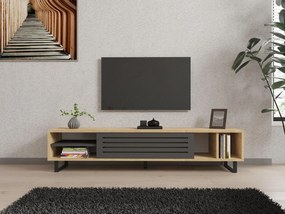 TV stolík/skrinka Samba (dub zafírový + antracit). Akcia -15%. Vlastná spoľahlivá doprava až k Vám domov. 1088486