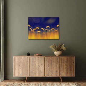 Obraz - Púpavy (70x50 cm)