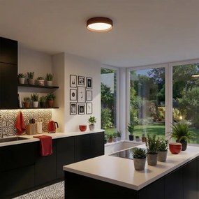 Brilagi - LED stropné svietidlo LUCIA LED/24W/230V pr. 31 cm červené