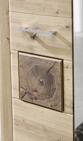 Predsieňová šatníková skriňa Tira, dub artisan