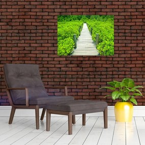 Sklenený obraz - drevený chodník (70x50 cm)