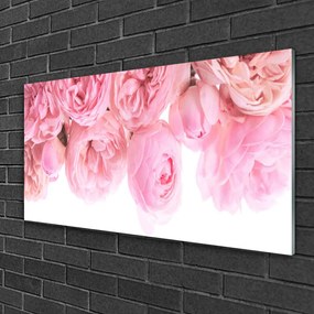 Skleneny obraz Ruže kvety rastlina 140x70 cm